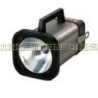 DT-315P频闪仪