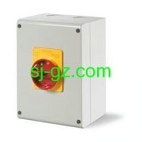 SCAME负荷隔离开关、紧急控制隔离开关、100A隔