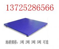 佛山地磅,番禺電子磅,佛山電子磅,番禺電子地磅,廣州                            