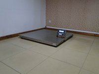 500KG/200g全不锈钢电子地衡定制，1500k