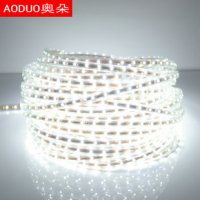 LED 5050 灯带 60珠 220V 白 暖白 