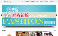 深圳民治网站建设案例 网页设计 网站制作 美视觉摄影