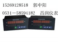   【甘肃/宁夏厂家直供】巡检仪，温度巡检仪，8路巡