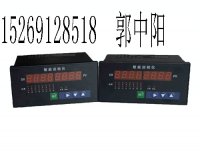 巡检仪专业生产厂供应XMD系列巡检仪 XMD7000