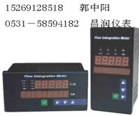 山东特卖　上润多回路巡检仪 WP-D806（8通道，