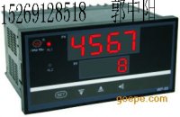 甘肃 河北 内蒙仪表厂商直供巡检仪，WP-RD806