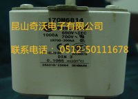 供应全新原装巴斯曼熔断器170M4928 等170M