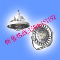 LED防爆灯30W,三防LED防爆灯，LED防爆投光