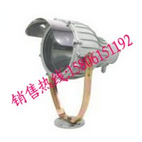 防爆投光灯优质厂商//SBD3110系列防爆投光灯