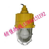 优质品牌BAD83-H防爆高效节能无极灯(40,50