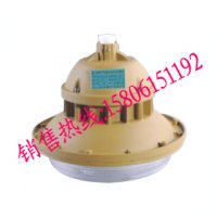 SBF6102-YQL40节能防水防尘防腐灯,40W