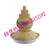 新疆免维护节能防爆无极灯，SBD1102-YQL40
