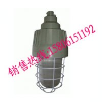 防爆节能灯报价，BAD5020/5021系列隔爆型防