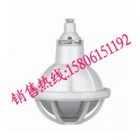 齐齐哈尔报价防水防尘防腐全塑灯FAD-S-L150