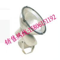 CNT9170防震投光灯，一体式节能投光灯内蒙古直销
