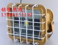 BLED9103免维护LED防爆灯*新款LED防爆灯