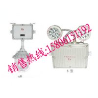防爆双头应急照明灯,SBD3112系列防爆照明应急灯