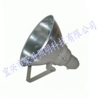NTC9200A防震型投光灯 宁夏250W抗震投光灯