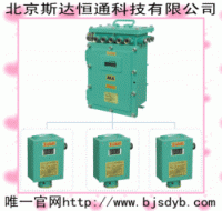 FDZB-1煤矿用风电甲烷闭锁装置  风电甲烷闭锁装