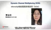 Microchip动态通道多路复用（DCM）